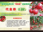 代金卷 防伪底纹