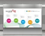 企业发展历程