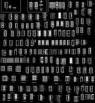CAD门立面