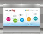 企业发展历程