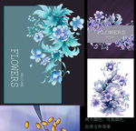 花草边框