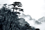 禅意 新中式山水 迎客松