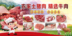 鲜肉类设计