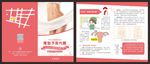 薄型子宫 折页 医疗宣传单