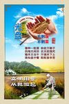 珍惜粮食