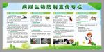 病媒生物宣传专栏