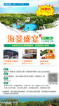 海岛旅游