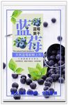 蓝莓