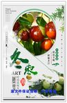 冬枣