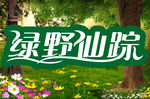 绿野仙踪
