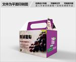 菠萝包装设计