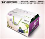 葡萄包装设计