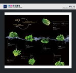 水中蔬菜