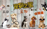 宠物之前店招海报壁画背景墙门头