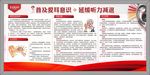 全国爱耳日宣传栏