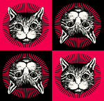 猫头