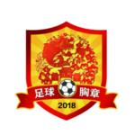 足球臂章 勋章 胸章可印刷