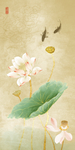 荷花
