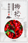 枸杞