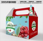 樱桃包装设计