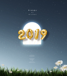 2019年