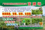 新民苗圃