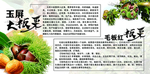 玉屏大板粟