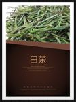白茶