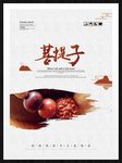 菩提子