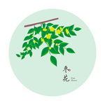 枣花