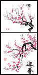 梅