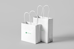 纸袋包装样机