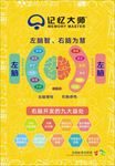 左右脑开发