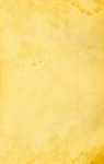 纸