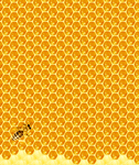 蜂巢