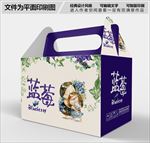 蓝莓包装箱设计PSD