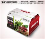 樱桃纸箱包装设计
