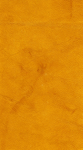 皮纹