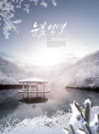 雪景 雪后 飘雪 雪后树林