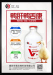 产品海报