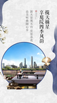 中式院子微信