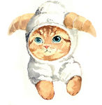 猫猫