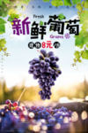 葡萄