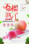 石榴