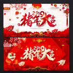 2019猪年