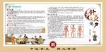 中医治疗 针灸文化