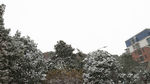 雪