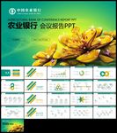 中国农业银行工作汇报会议报告