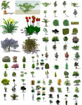 植物绿化模型