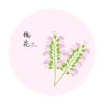 槐花